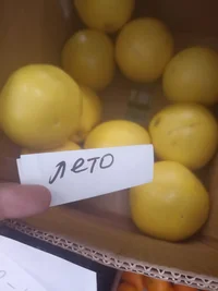 IMG_20230705_130711.webp IMG_20230705_130711.webp