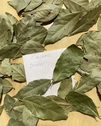 IMG_7284.webp IMG_7284.webp