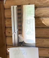 IMG_7289.webp IMG_7289.webp