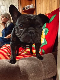 45FE7333-FE65-4BC7-999D-E158E9277A5F.webp 45FE7333-FE65-4BC7-999D-E158E9277A5F.webp