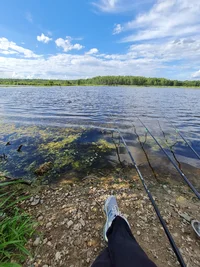 20230709_164943.webp 20230709_164943.webp