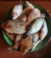 20230710_105452.webp 20230710_105452.webp