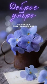 2219FC36-B37B-4C58-BA80-6E84FBCCC071.webp 2219FC36-B37B-4C58-BA80-6E84FBCCC071.webp