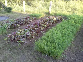 20230716_191318.jpg 20230716_191318.jpg