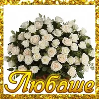 19-20211125_011201.webp 19-20211125_011201.webp