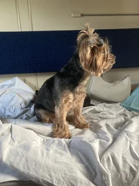 1411DDF8-67BB-45B1-A761-6CB164D8A89D.webp 1411DDF8-67BB-45B1-A761-6CB164D8A89D.webp