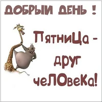 dobryj-den-pyatnitsa-prikolnaya-kartinka.webp