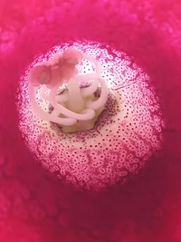 1690004429788.png 1690004429788.png