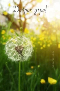 8CD91F06-3CFB-4E41-9734-EB7A91B67EE5.webp 8CD91F06-3CFB-4E41-9734-EB7A91B67EE5.webp