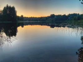 92DEC0A2-A155-4874-9364-2E598EFFC91B.webp 92DEC0A2-A155-4874-9364-2E598EFFC91B.webp