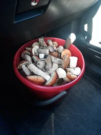 20230729_072755.webp 20230729_072755.webp