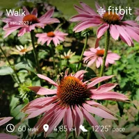 fitbitshare_1508098306.webp