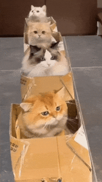 1688918994168769165.gif 1688918994168769165.gif