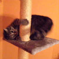 201509150001-vechnyy-dvigatel-kashamalasha-com.gif 201509150001-vechnyy-dvigatel-kashamalasha-com.gif