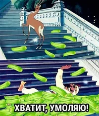 IMG_20230814_082049_067.webp IMG_20230814_082049_067.webp