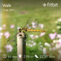 fitbitshare_2048400355.webp