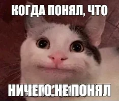 IMG_20230809_083442.webp