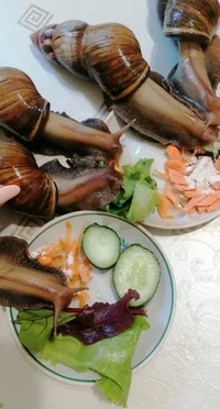 IMG_20230818_070232_edit_929654721305019.webp