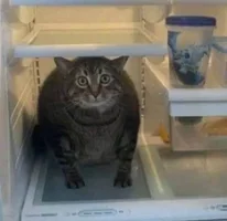 IMG_20230804_204015.png IMG_20230804_204015.png