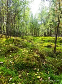 IMG_20230825_124951.jpg IMG_20230825_124951.jpg