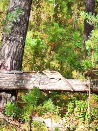 IMG_20230825_125614.jpg IMG_20230825_125614.jpg