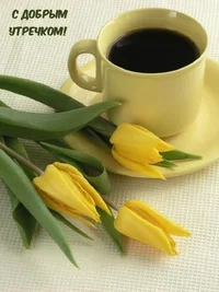 photowords_ru_25239.webp photowords_ru_25239.webp