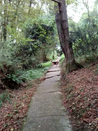 1693485947782.webp 1693485947782.webp