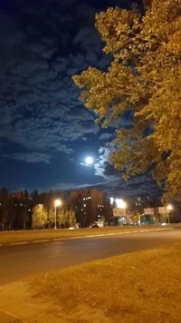 max_g360_c12_r2x3_pd20.webp