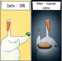 Screenshot_2023-09-01-13-37-48-123_com.vkontakte.android-edit.webp