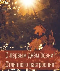 676EF233-CDF8-49B3-AF80-CFFAC13D75FA.webp 676EF233-CDF8-49B3-AF80-CFFAC13D75FA.webp