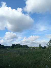 20230902_111316.webp 20230902_111316.webp