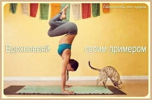 1678250656_sportishka-com-p-dobroe-utro-fitnes-sport-vkontakte-30.webp