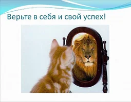 IMG_20230904_205342.webp IMG_20230904_205342.webp