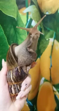 IMG_20230904_204251.webp IMG_20230904_204251.webp