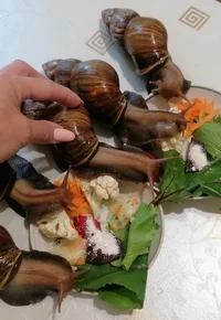 IMG_20230905_081214.webp IMG_20230905_081214.webp