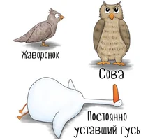 1663268920_1-mykaleidoscope-ru-p-vechno-ustavshii-gus-emotsii-1.webp