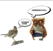 31A9B58D-312F-4D65-8E27-C5FFCBAC703E.webp