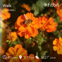 fitbitshare_1911827468.webp