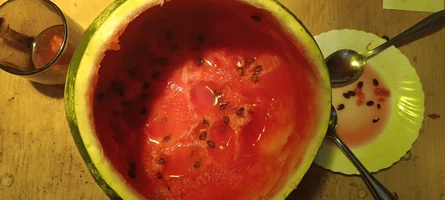 IMG_20230912_184952_609.webp