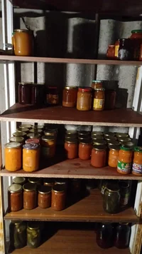 IMG-20230910-WA0039.webp IMG-20230910-WA0039.webp