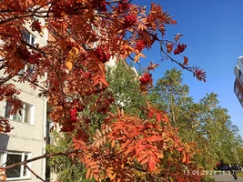 IMG_20230915_161740.webp IMG_20230915_161740.webp