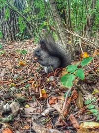 60F39B9B-F765-44BB-9695-14EB4F2C3F7C.jpeg 60F39B9B-F765-44BB-9695-14EB4F2C3F7C.jpeg