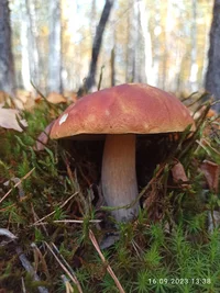 IMG_20230916_133833.webp IMG_20230916_133833.webp