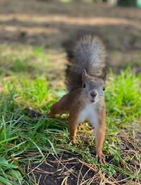 IMG_20230916_220336.webp IMG_20230916_220336.webp