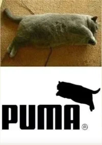 Screenshot_20230916_193001_Instagram.webp Screenshot_20230916_193001_Instagram.webp