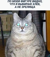 Screenshot_20230916_192823_Instagram.webp Screenshot_20230916_192823_Instagram.webp