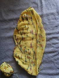 IMG_20230917_114535.webp IMG_20230917_114535.webp