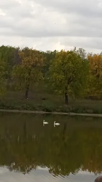 IMG-20230916-WA0059.webp IMG-20230916-WA0059.webp