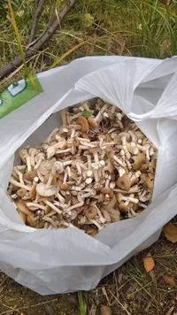 IMG_20230921_213333_416.webp IMG_20230921_213333_416.webp