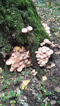 IMG_20230921_213339_478.webp IMG_20230921_213339_478.webp